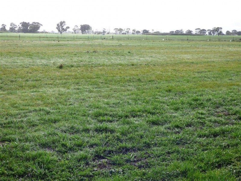 77 Kokoda Drive, Haven VIC 3401