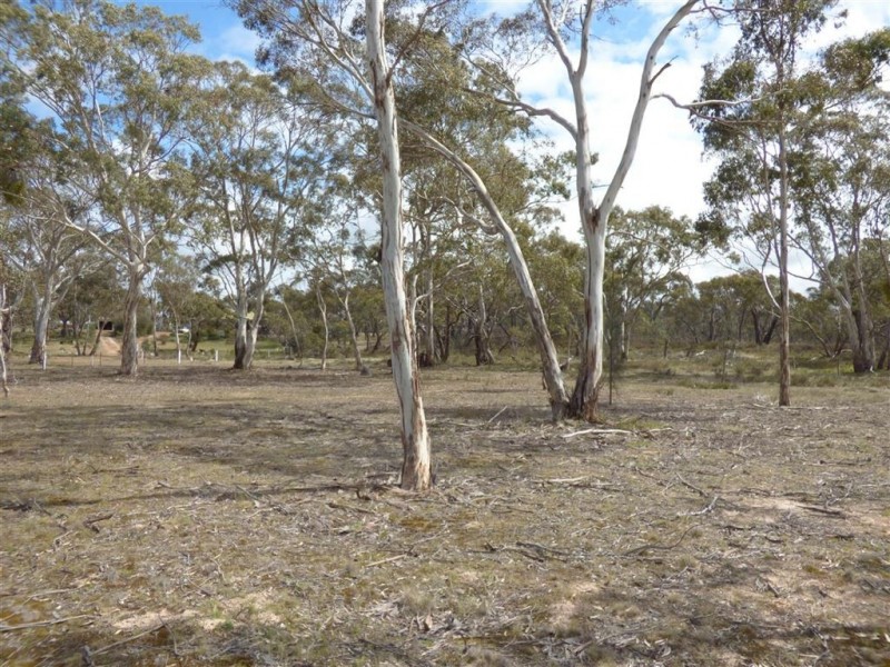 Lot 3 John McPhees Drive, Toolondo VIC 3401