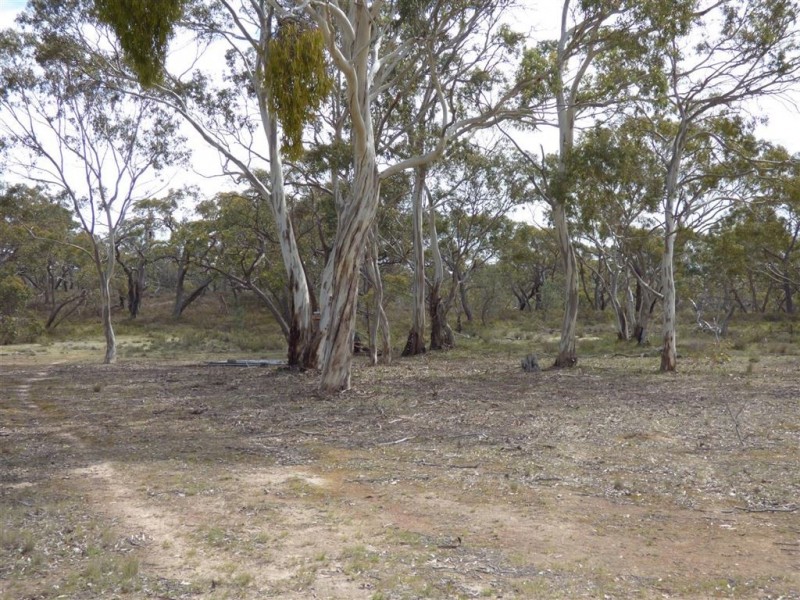 Lot 3 John McPhees Drive, Toolondo VIC 3401