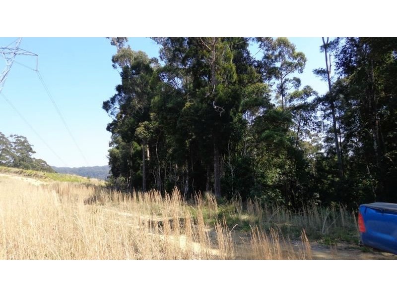 Ulong NSW 2450