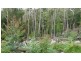 Ulong NSW 2450