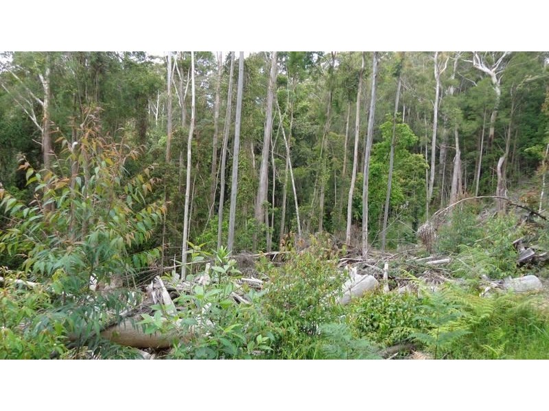 Ulong NSW 2450