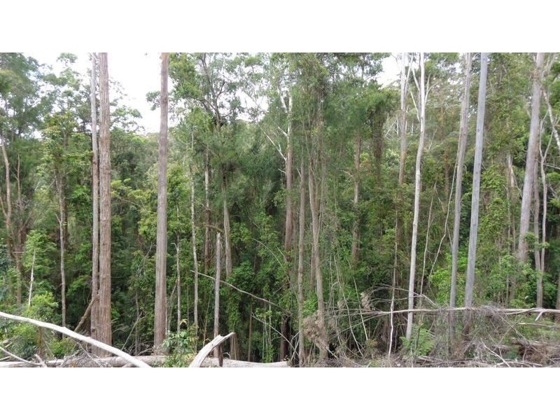 Ulong NSW 2450