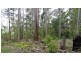 Ulong NSW 2450