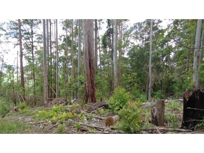 Ulong NSW 2450