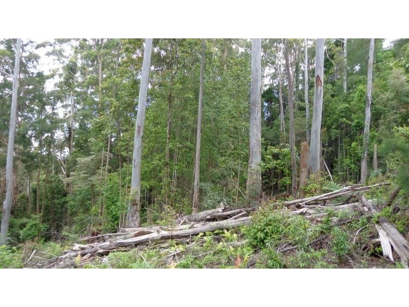 Ulong NSW 2450