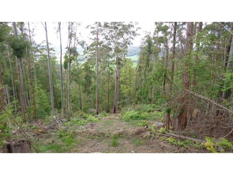 Ulong NSW 2450