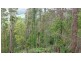 Ulong NSW 2450