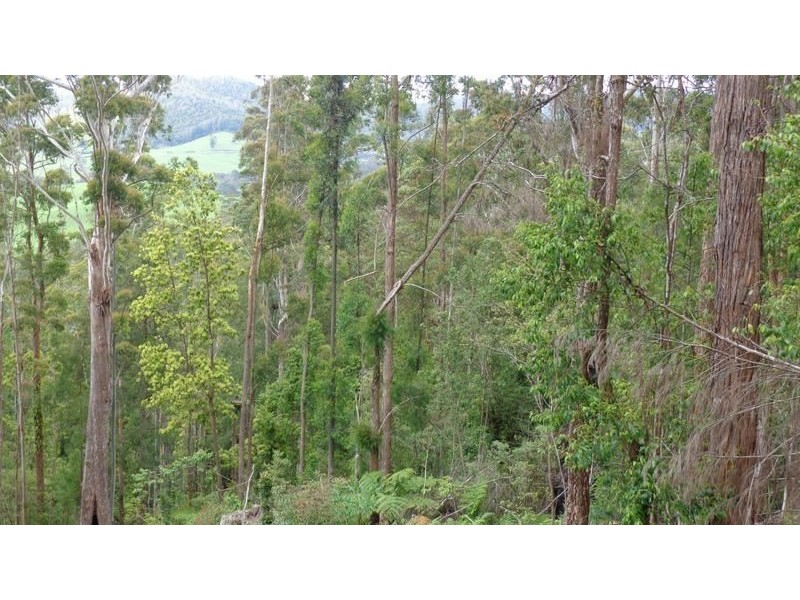 Ulong NSW 2450