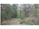 Ulong NSW 2450