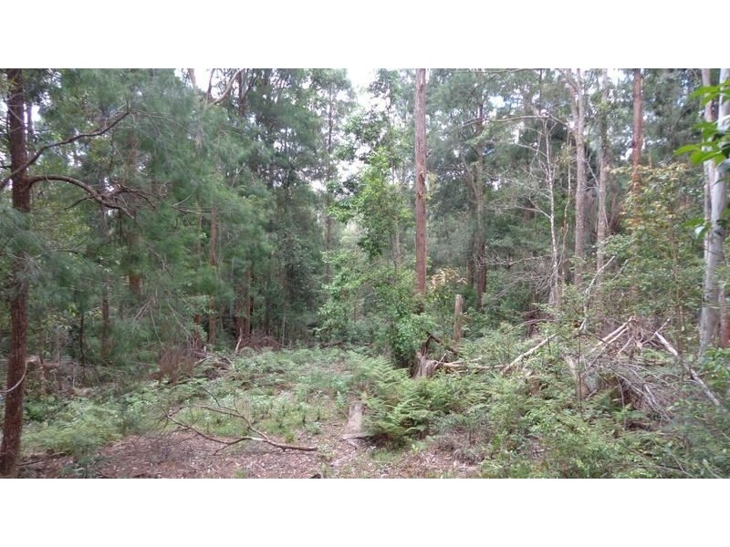 Ulong NSW 2450