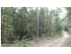 Ulong NSW 2450