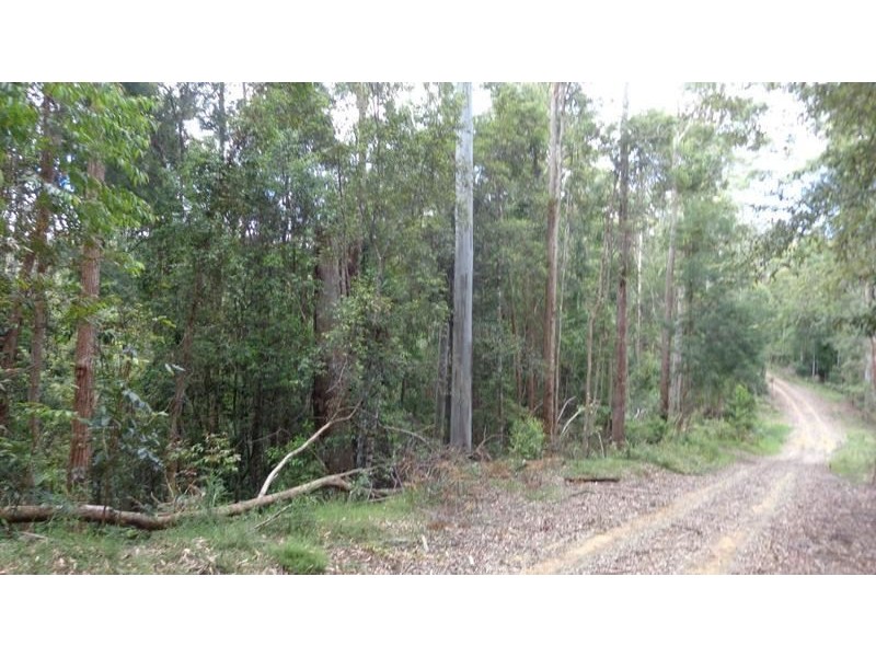 Ulong NSW 2450