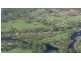 Nymboida NSW 2460