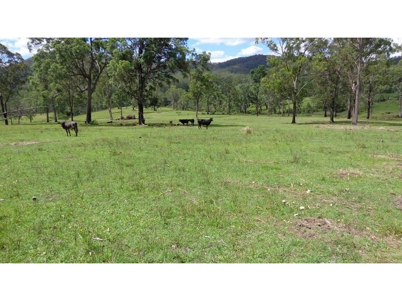 Nymboida NSW 2460
