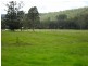 Smiths Creek NSW 2484