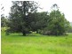 Smiths Creek NSW 2484