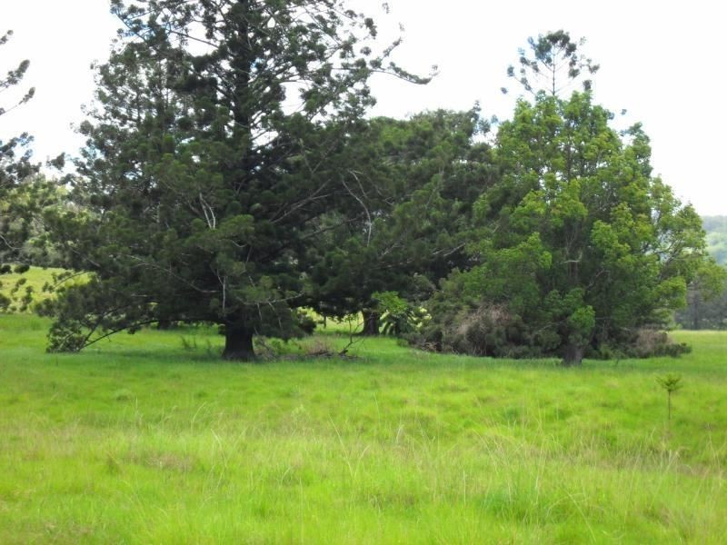 Smiths Creek NSW 2484
