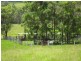Smiths Creek NSW 2484