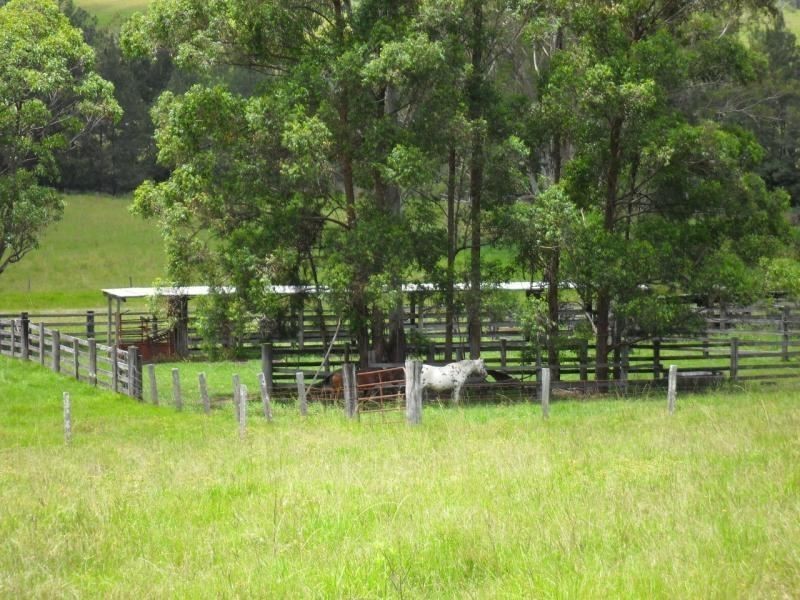 Smiths Creek NSW 2484