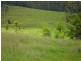 Smiths Creek NSW 2484