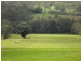 Smiths Creek NSW 2484