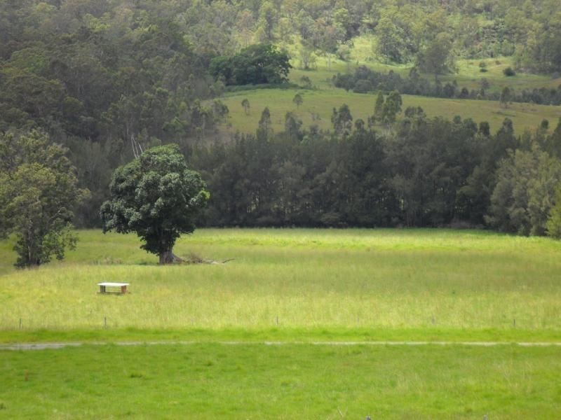 Smiths Creek NSW 2484