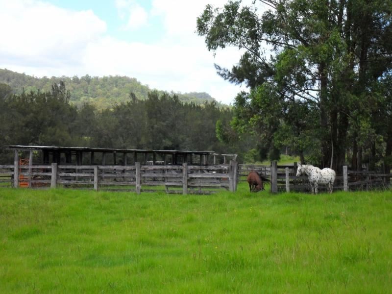 Smiths Creek NSW 2484