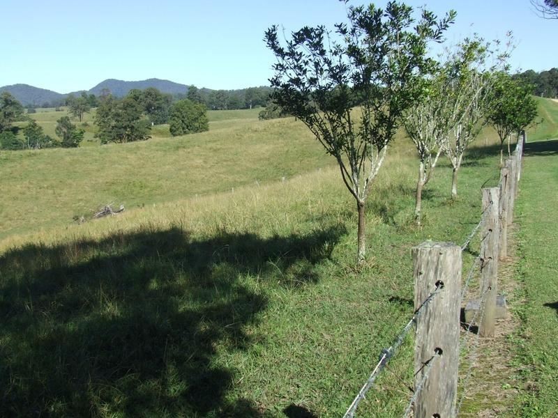 lot 3 Lower Buckra, Buckra Bendinni NSW 2449