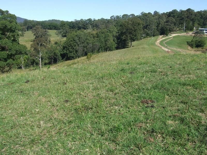 lot 3 Lower Buckra, Buckra Bendinni NSW 2449