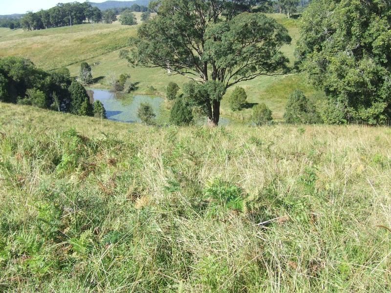 lot 3 Lower Buckra, Buckra Bendinni NSW 2449