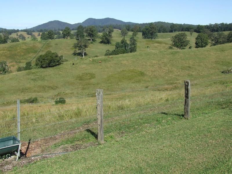 lot 3 Lower Buckra, Buckra Bendinni NSW 2449