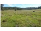 5024 Clarence Way, Fine Flower NSW 2460
