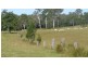 5024 Clarence Way, Fine Flower NSW 2460