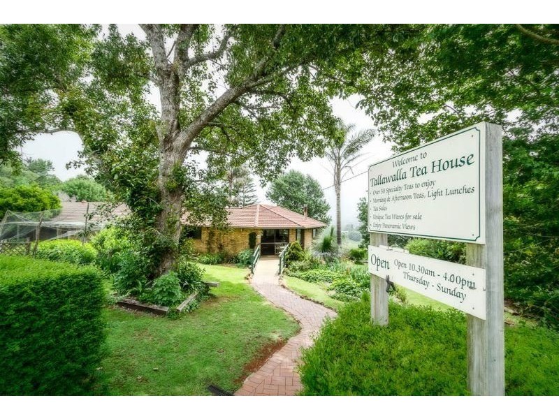 Dorrigo NSW 2453