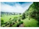 Dorrigo NSW 2453