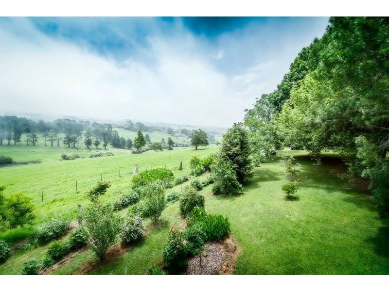 Dorrigo NSW 2453