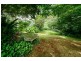 Dorrigo NSW 2453