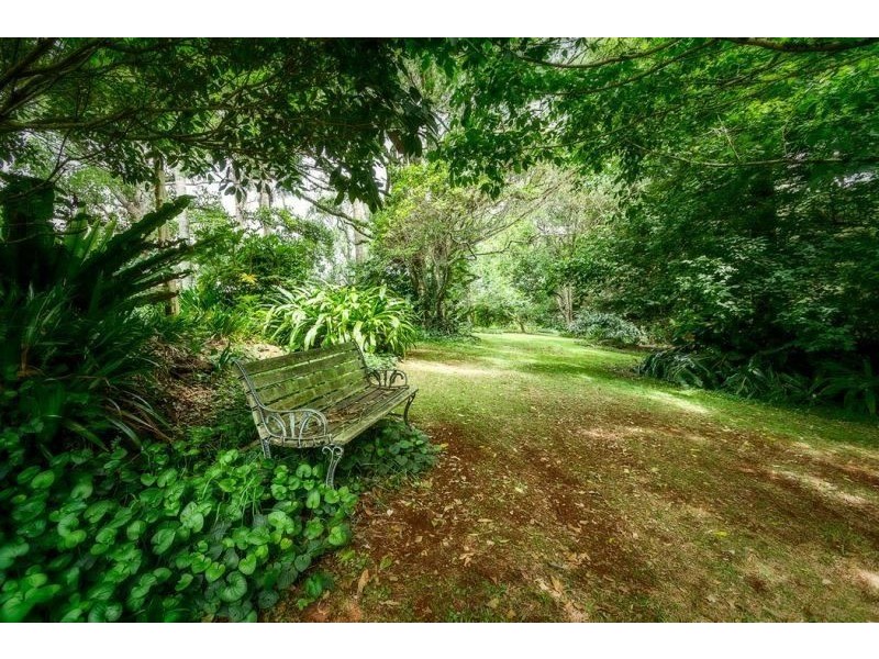 Dorrigo NSW 2453