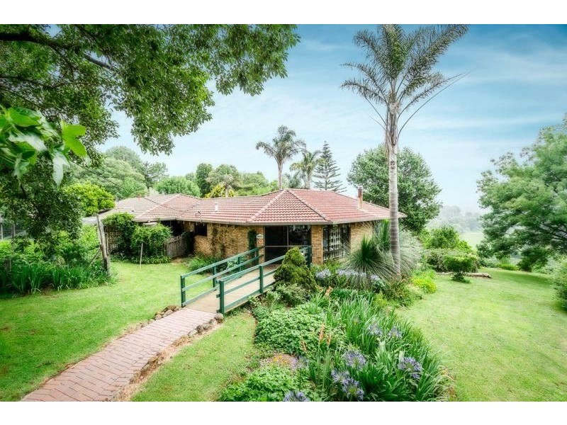 Dorrigo NSW 2453