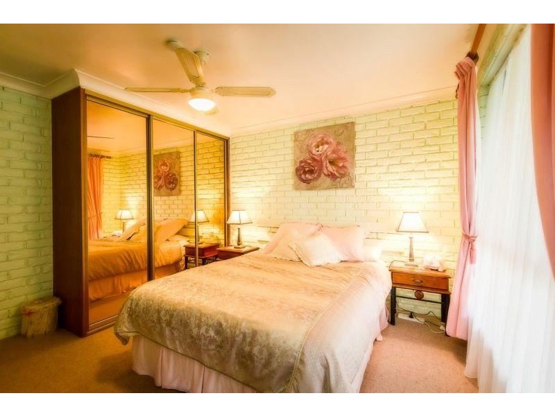 Dorrigo NSW 2453