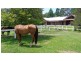 128 Lindsays Rd, Boambee NSW 2450