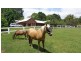 128 Lindsays Rd, Boambee NSW 2450