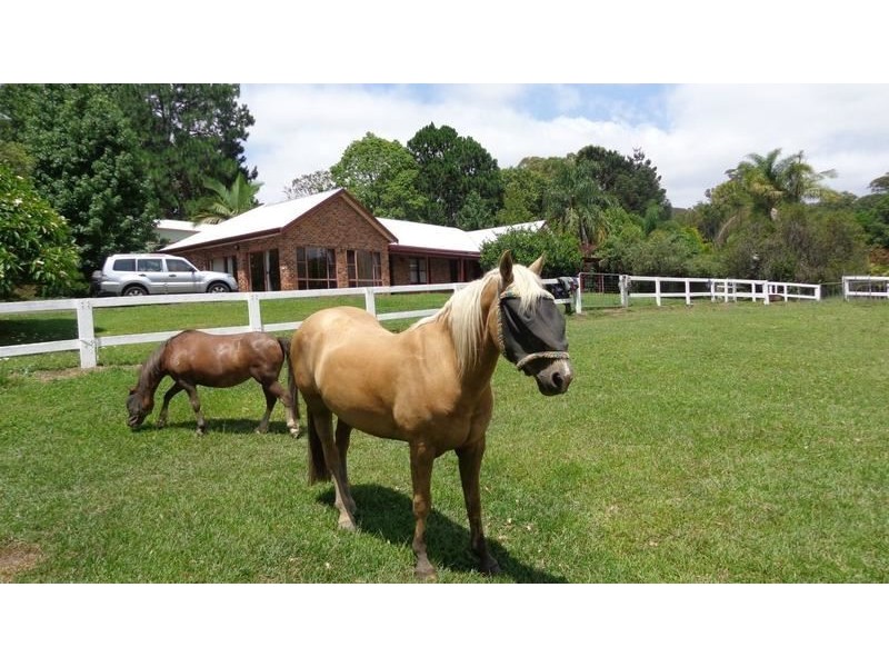 128 Lindsays Rd, Boambee NSW 2450