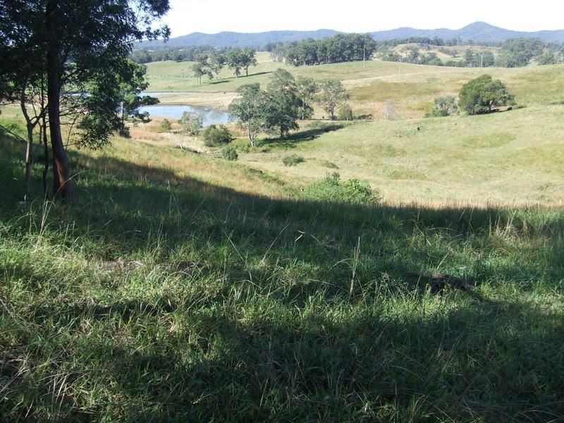 Lot 3 Lower Buckra, Buckra Bendinni NSW 2449
