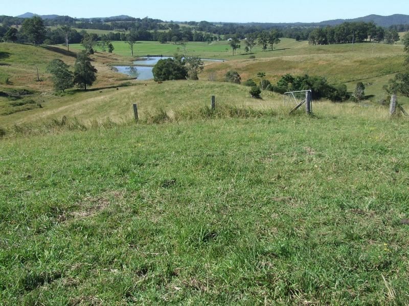 Lot 3 Lower Buckra, Buckra Bendinni NSW 2449