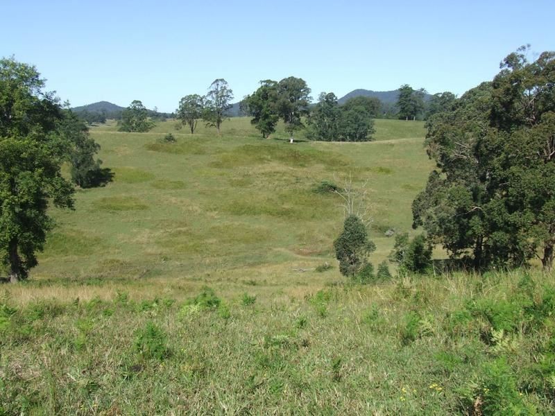 Lot 3 Lower Buckra, Buckra Bendinni NSW 2449