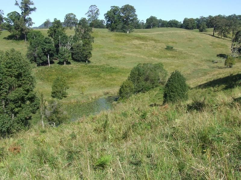 Lot 3 Lower Buckra, Buckra Bendinni NSW 2449