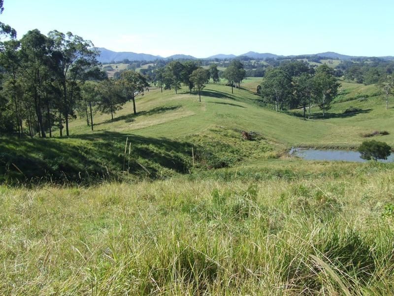 Lot 3 Lower Buckra, Buckra Bendinni NSW 2449