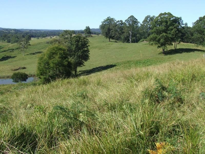 Lot 3 Lower Buckra, Buckra Bendinni NSW 2449